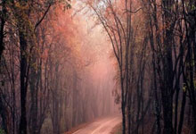 Kaiyun:突然不行了?输给德丙球队,勒沃库森深陷崩盘危机.