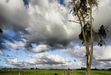 Kaiyun:达尼洛谈离开尤文:重返巴西有助于我巩固在国家队地位.