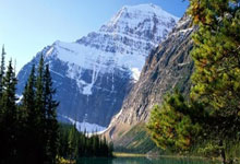 Kaiyun:超燃博人博洛尼亚6连胜意甲升第4+杯赛大胜,即将连打意甲前3.